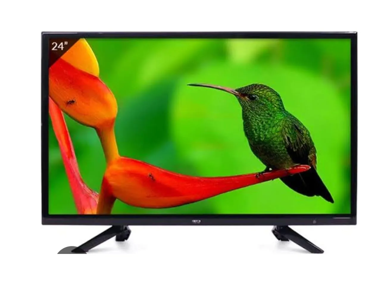 9 ELECTRO (24 inches HD Ready LED TV | Powerful Audio Box Speakers | with HDMI & USB Ports (Black, 2024 Model)