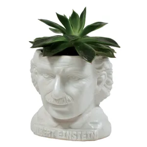 Albert Einstein Planter Bust