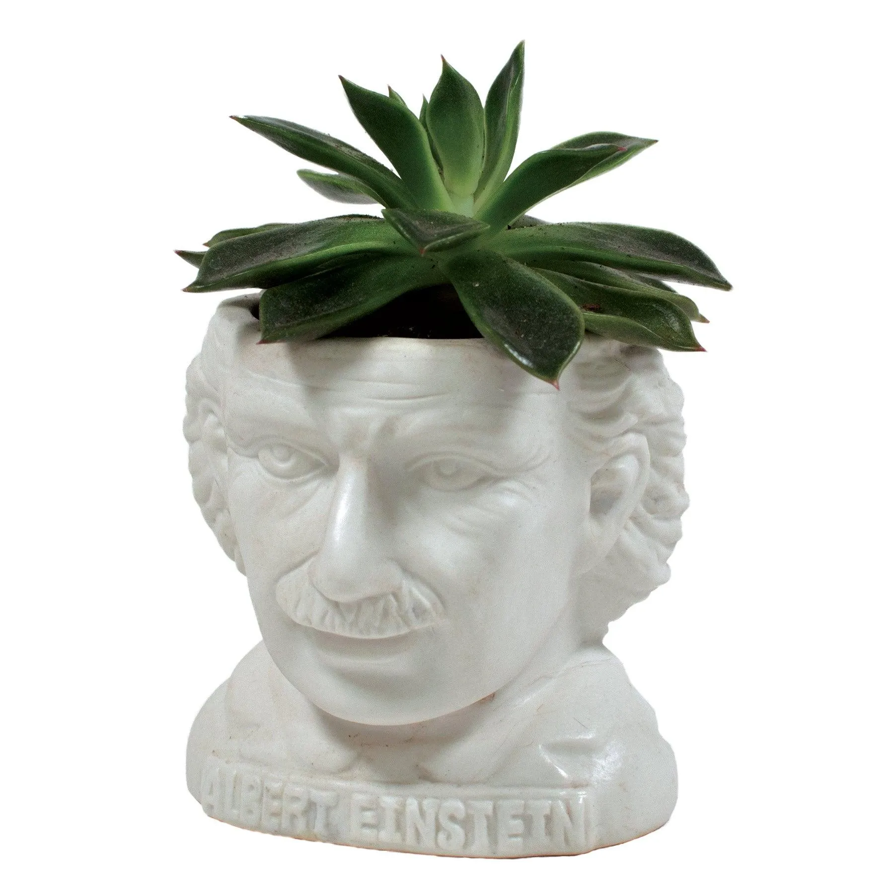 Albert Einstein Planter Bust