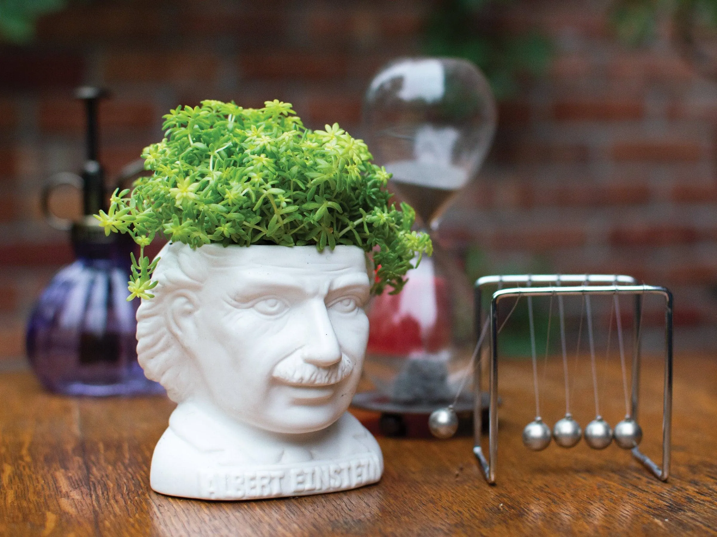 Albert Einstein Planter Bust