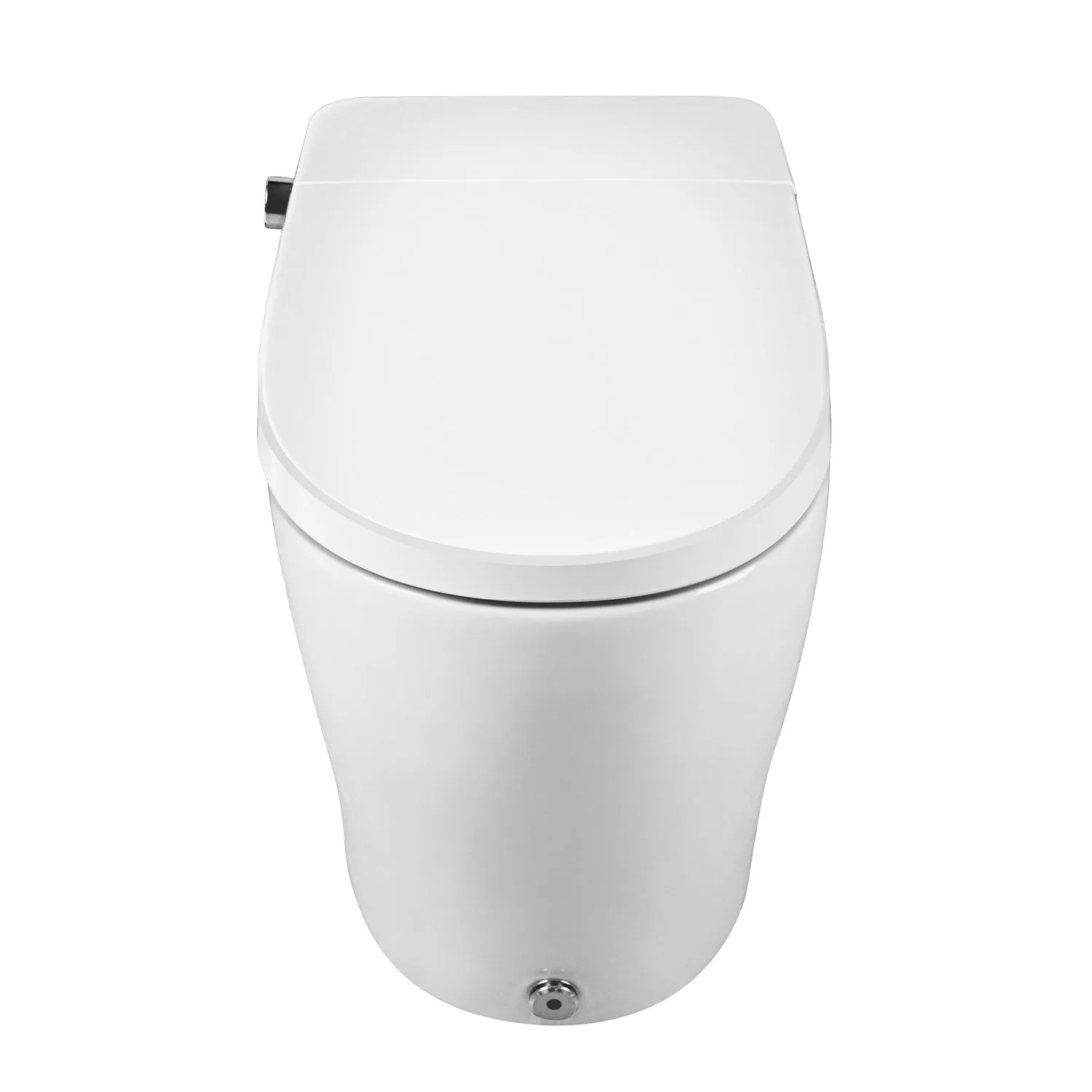 DeerValley DV-1S0029 Smart Bidet Toilet, One-Piece Elongated Smart Toilet with Foot Kick Flush, Warm Wash (Seat Included)