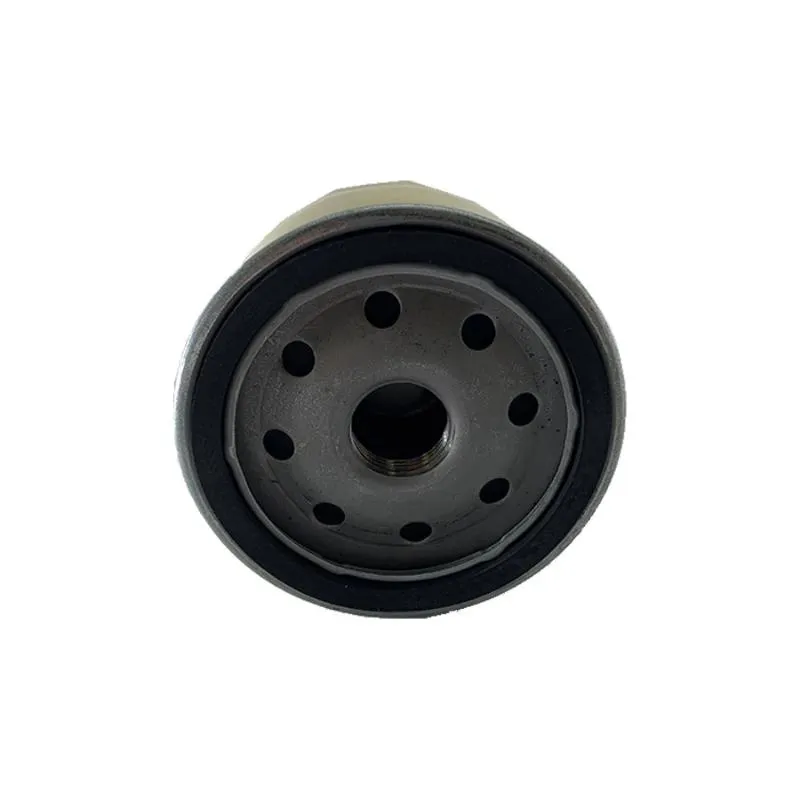 Oil Filter Briggs Stratton 696854 695396 842921 795890 5049K