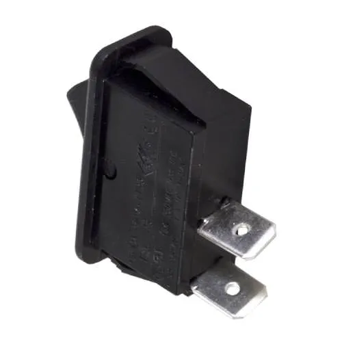 Raypak Rocker Switch 009493F