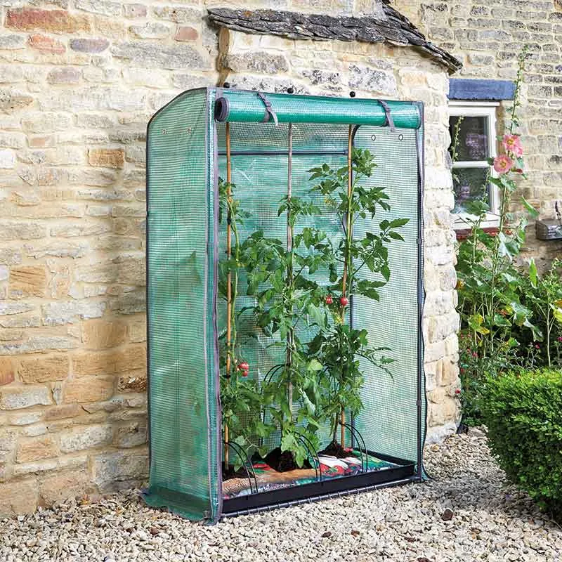 Smart Garden Tomato Grow Zone